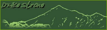 Logo zuziawdrodze